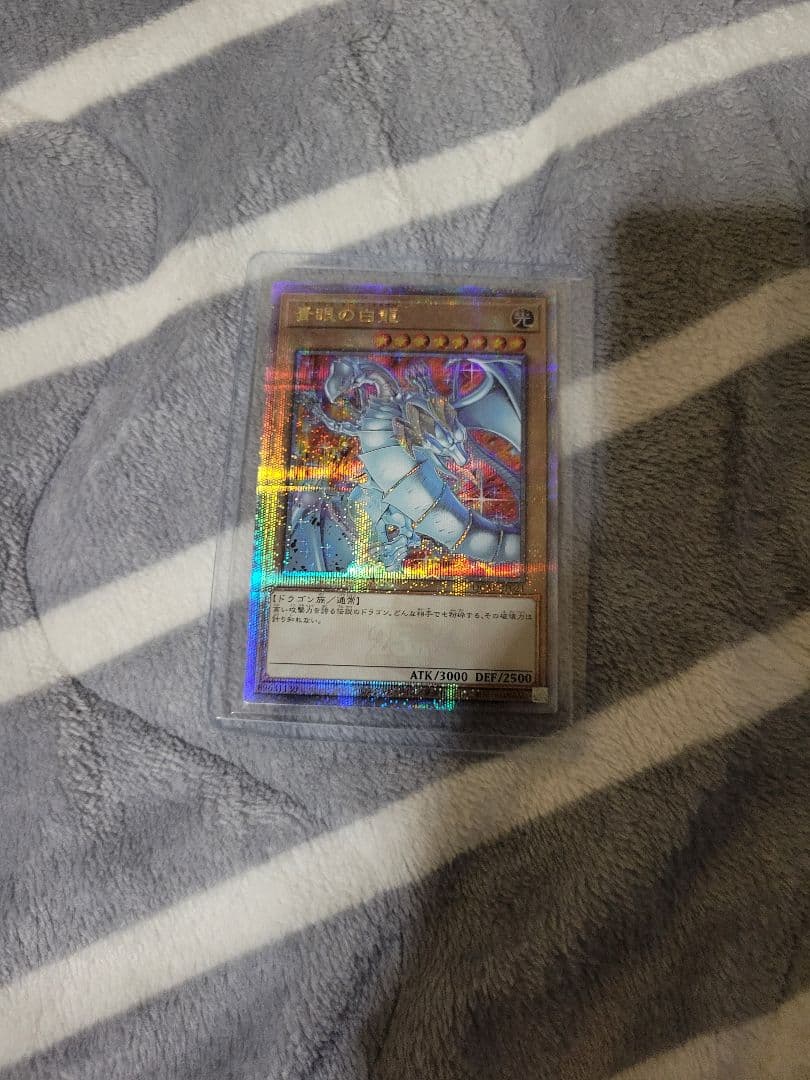 遊戯王クウォーターセンチュリーアートコレクション青眼の白龍クオシク絵違い