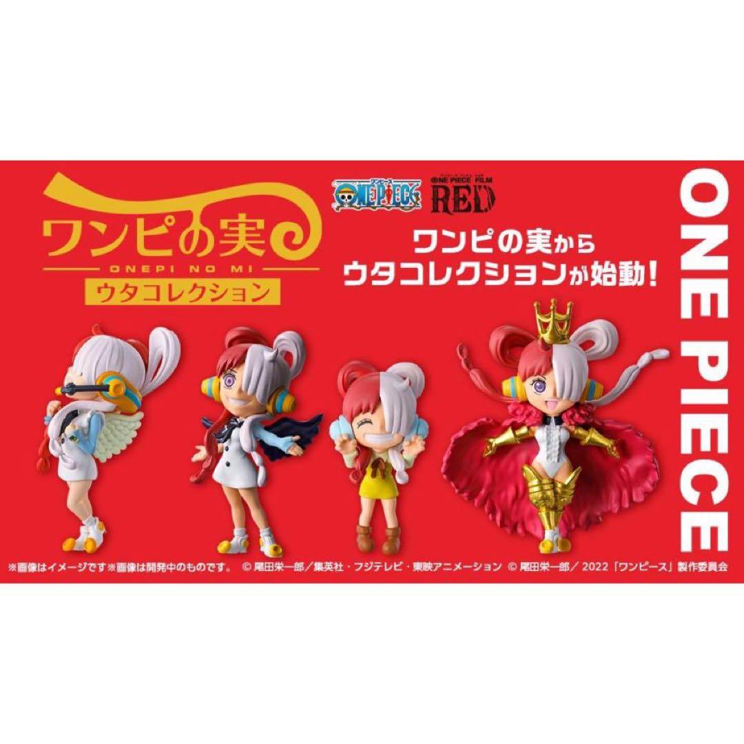 ワンピの実　　まとめ売り