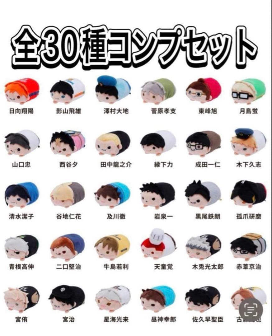 ハイキュー のるキャラマスコット 10th 全30種 コンプリートセット