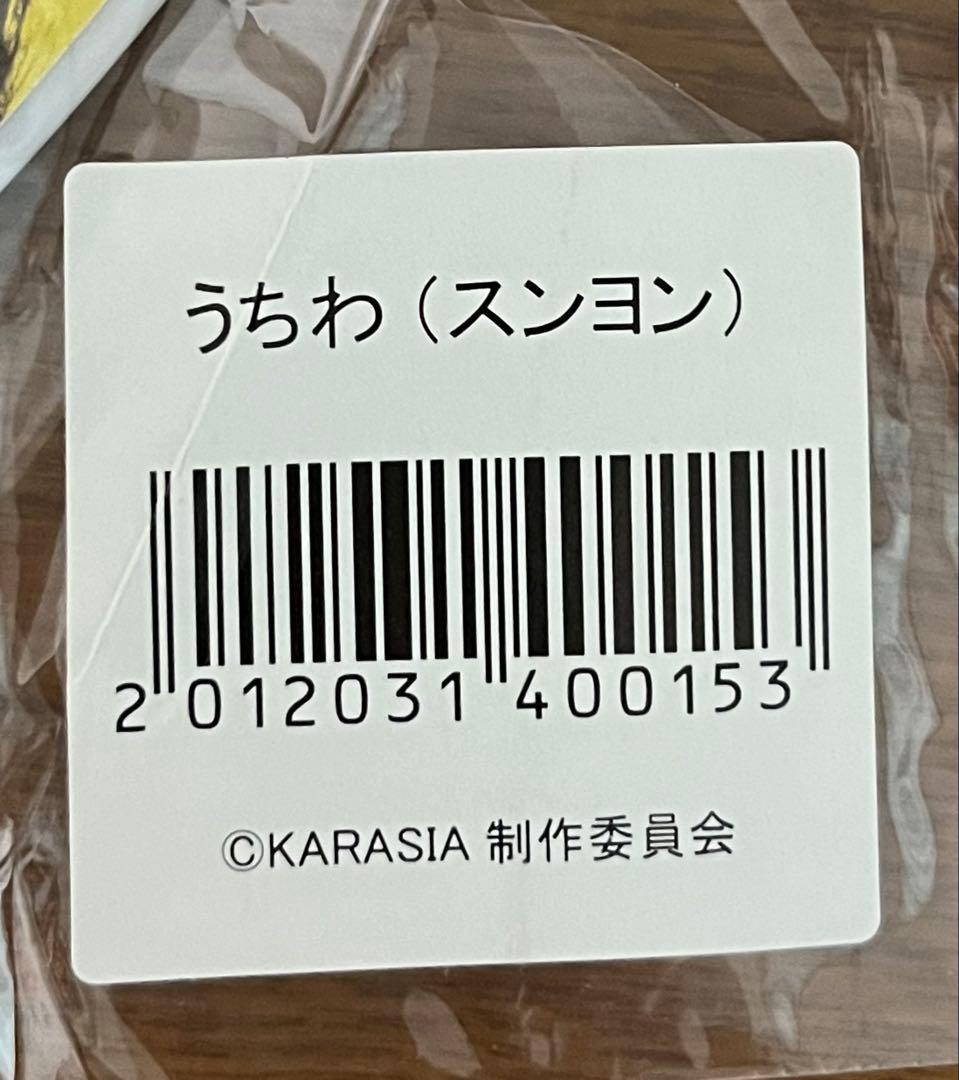 【未開封】KARA グッズ 6点セット KARASIA ライブタオル
