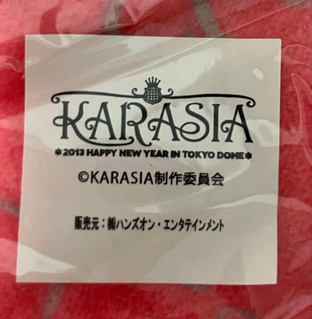 【未開封】KARA グッズ 6点セット KARASIA ライブタオル