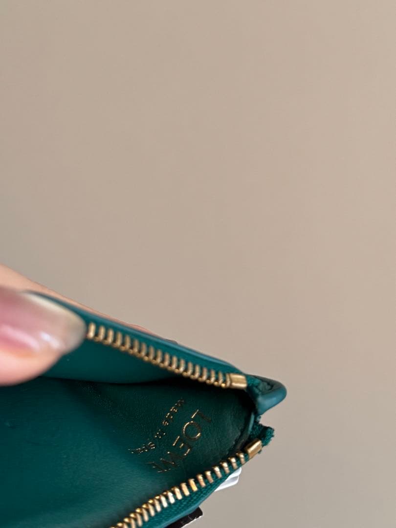 LOEWE グリーン レザー ケース