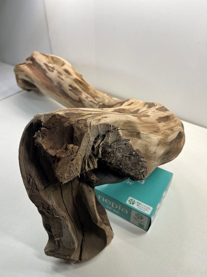 m24特大流木 アク抜き済み 爬虫類シェルター 登り木 レイアウト用 インテリア