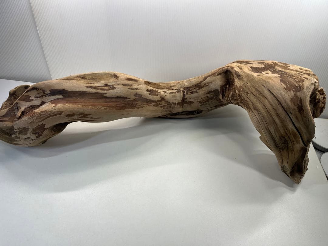 m24特大流木 アク抜き済み 爬虫類シェルター 登り木 レイアウト用 インテリア