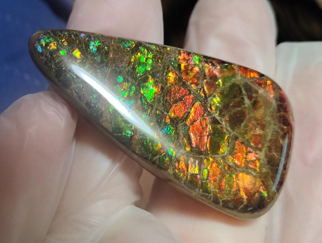 アンモライト・ルース　24-1411 45000