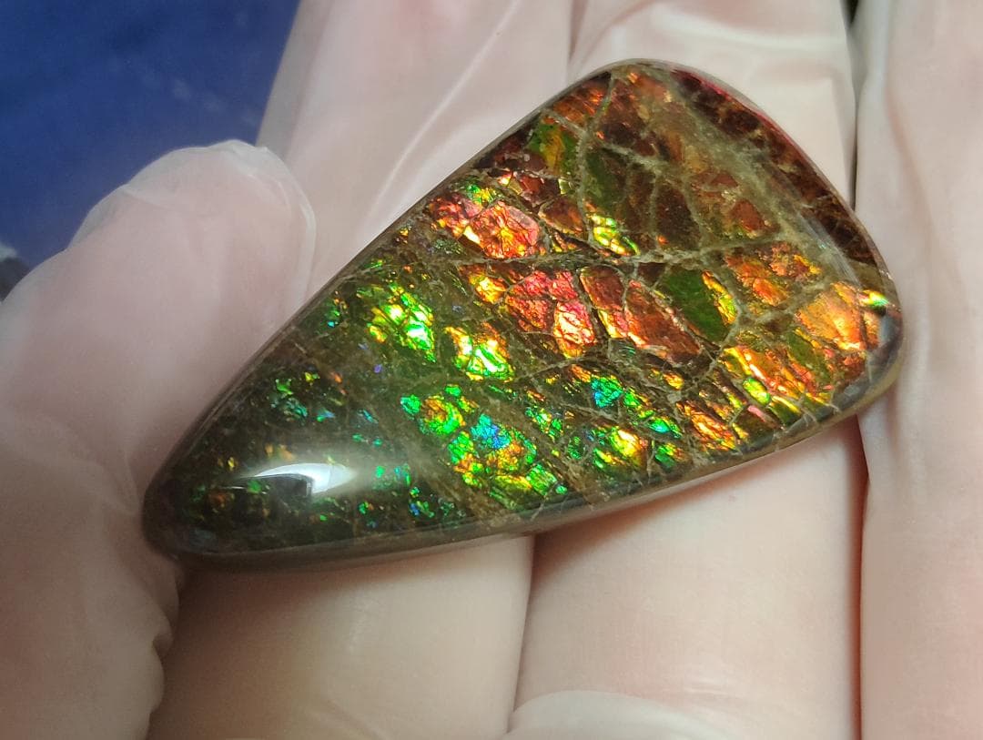 アンモライト・ルース　24-1411 45000