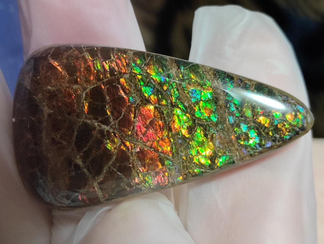 アンモライト・ルース　24-1411 45000