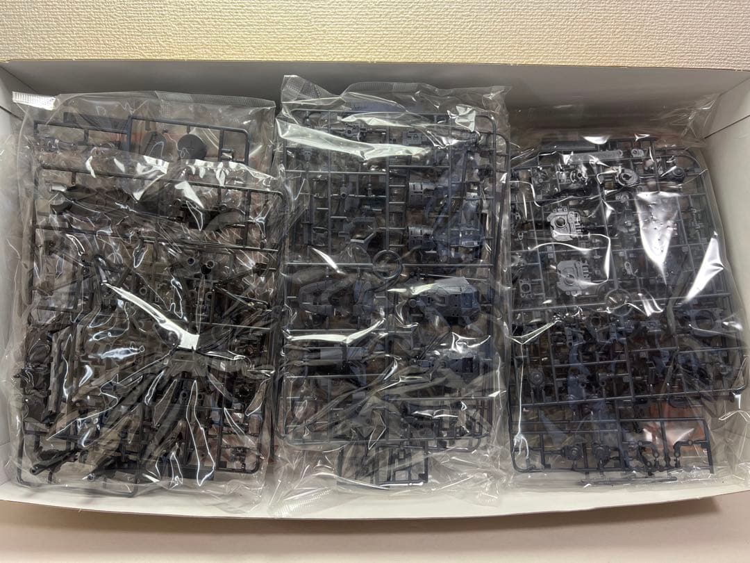 1/100 MG MS-06R 高機動型ザク ”サイコ・ザク”