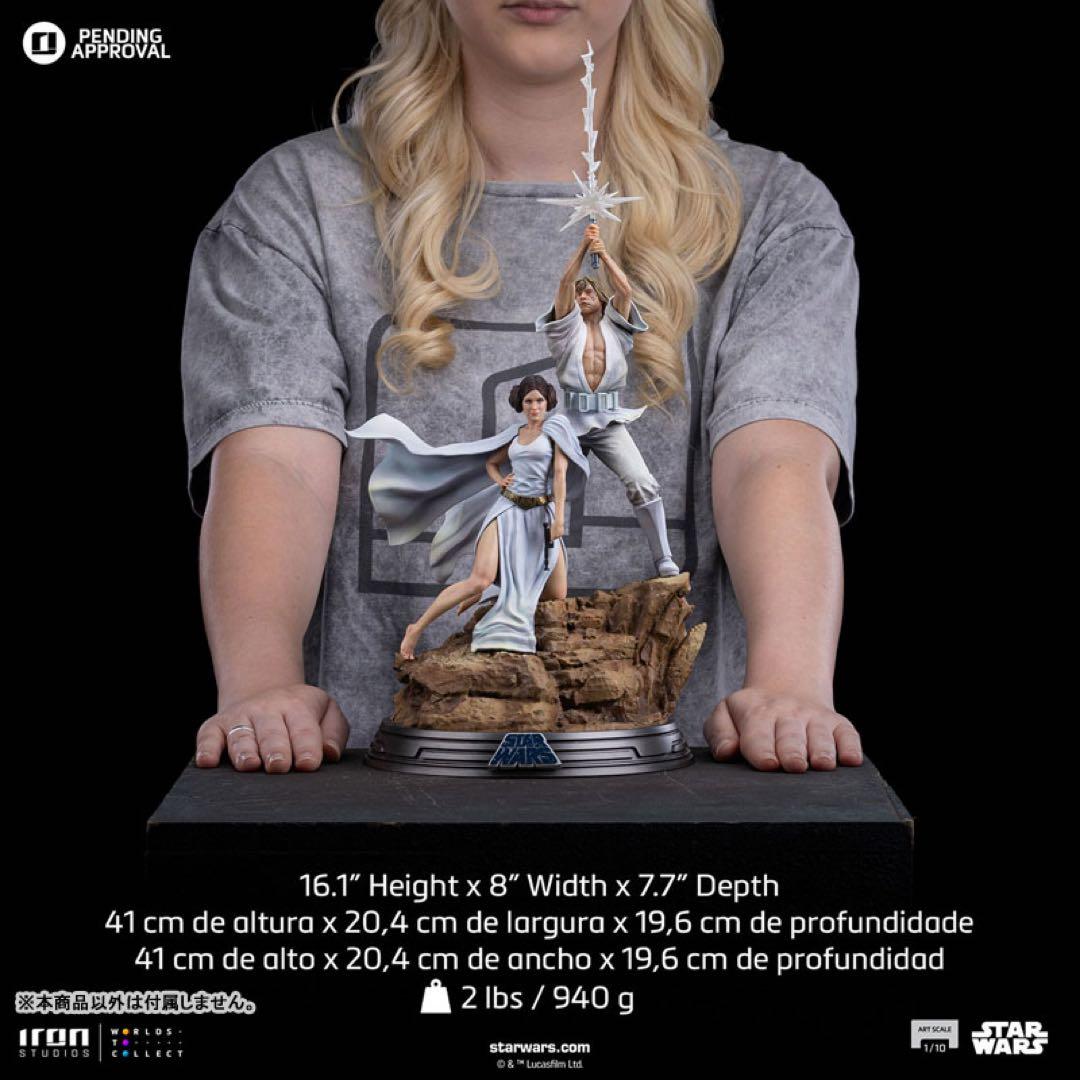 【新品】スター・ウォーズ フィギュア ルーク・スカイウォーカーとレイア・オーガナ