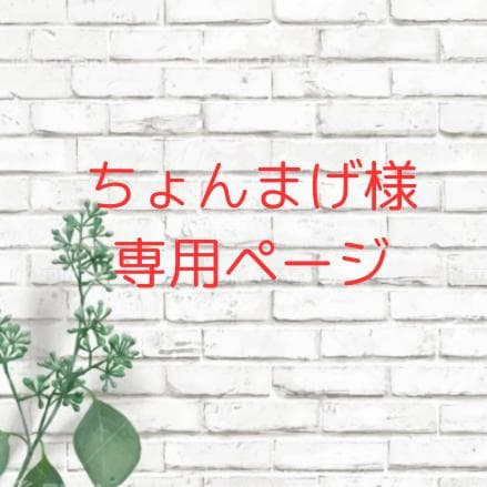 ちょんまげページ ジェルネイル カラージェル　ネイル