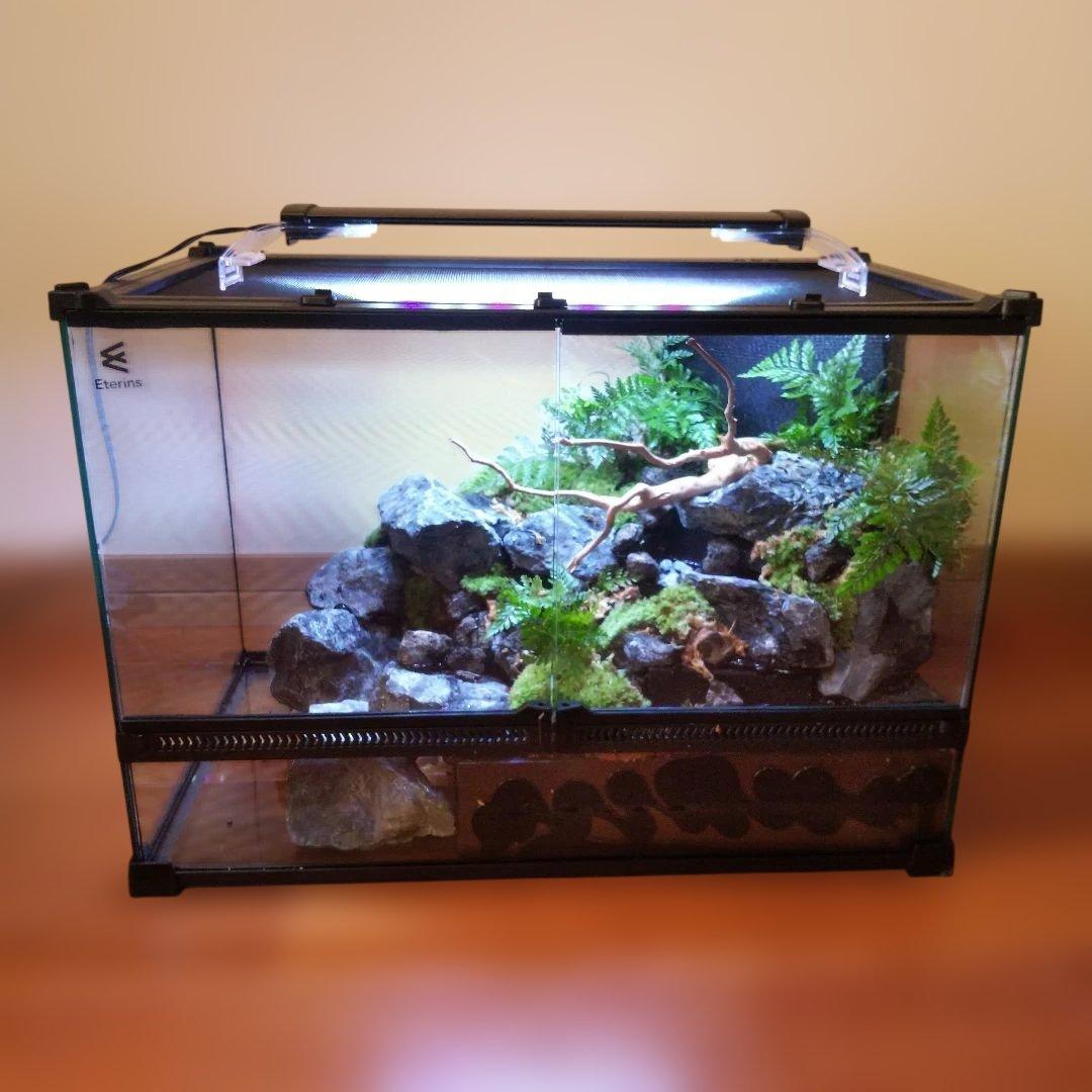 【受注生産】滝のあるアクアテラリウム　イモリウム　苔テラリウム　アクアテラリウム