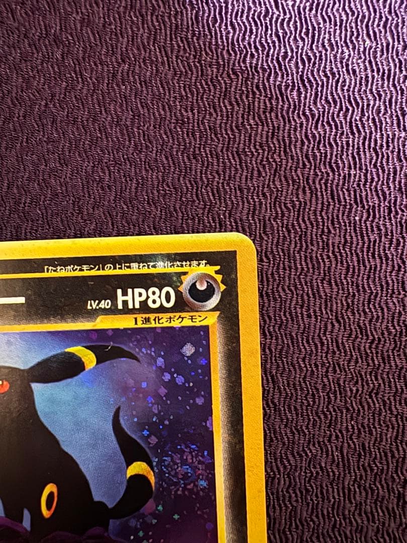 【旧裏美品渦巻き】ブラッキー★ 遺跡をこえて…