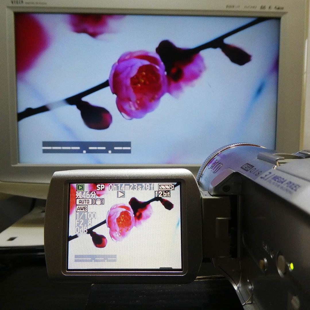 動作良好 パナソニックNV-GS250 MiniDVビデオ DVD化に最適 !