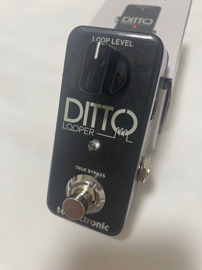 <新品>DITTO LOOPER ルーパー
