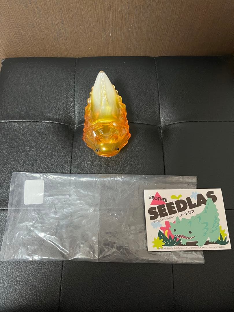 ナカザワショーコ　シードラス　ブラザー　ビール