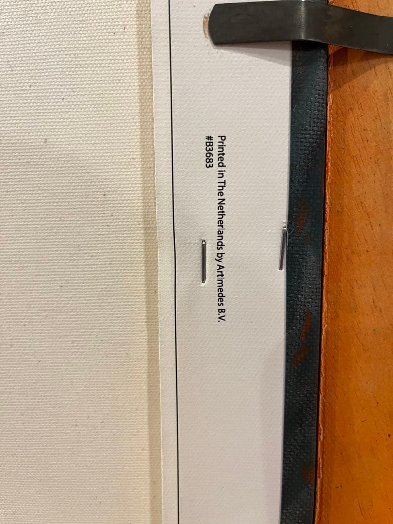 ゴッホ美術館 ピカチュウ　Mサイズ　キャンバスアート