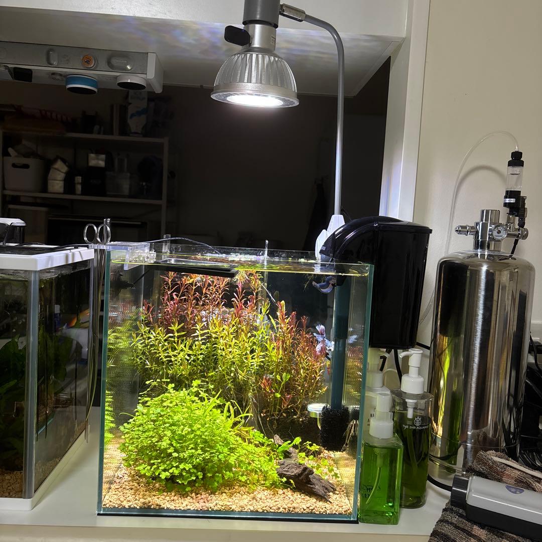 グラッシー レディオ RX122 フレッシュ Fresh 水槽 LED ライト