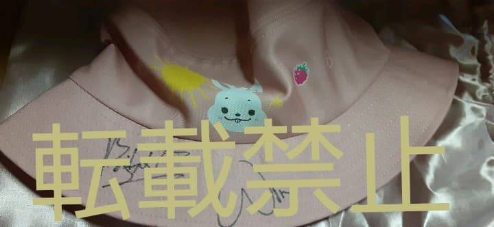 Sunsilk 帽子　brightwin サインつき　2gether
