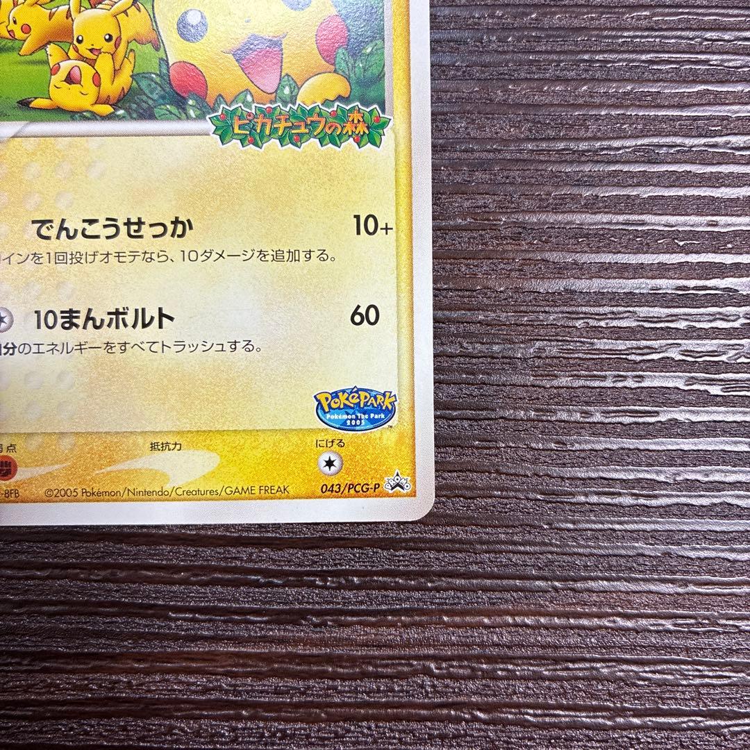 ポケパークのピカチュウ