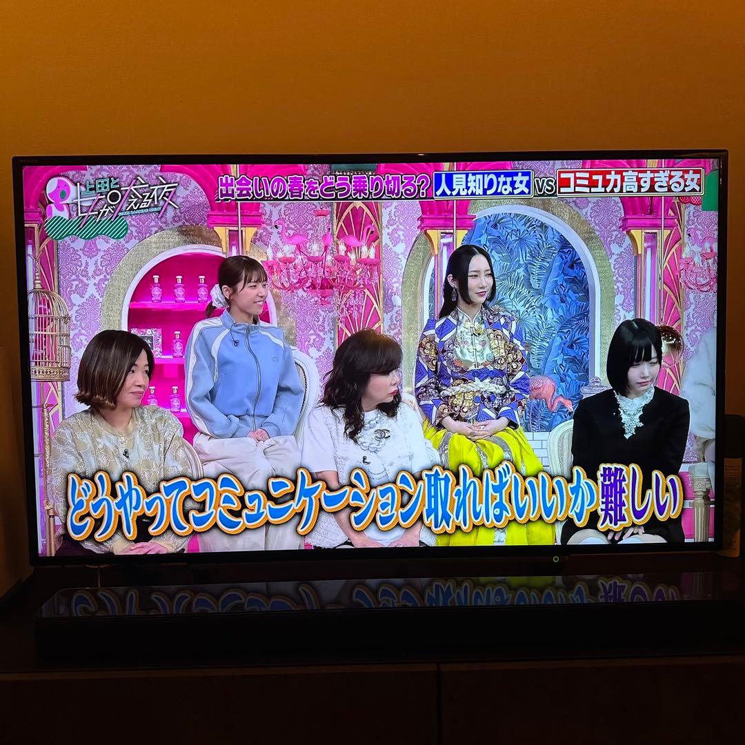 REGZA 49インチ 液晶テレビ