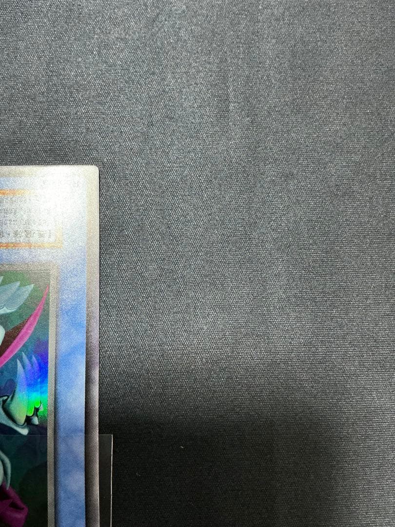 【確認用】　ゼラ