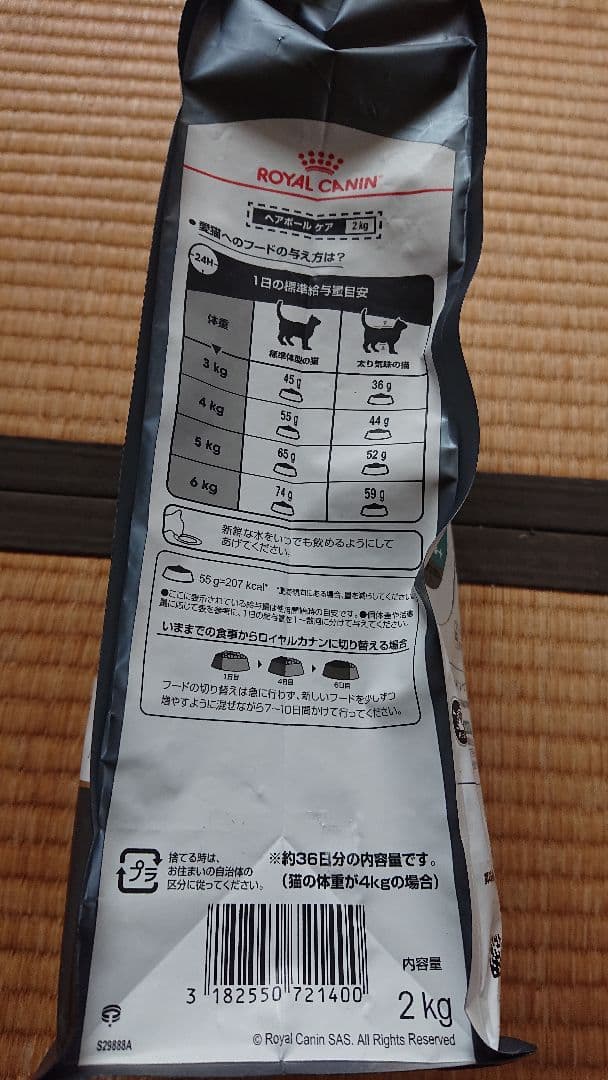 猫４兄弟　　ロイヤルカナン