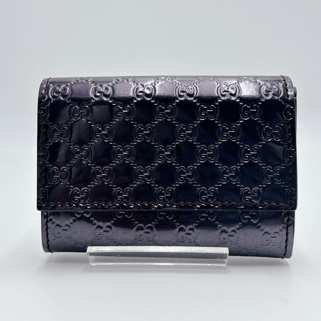 ✨極美品✨GUCCI ケース マイクログッチシマ 295845 付属品