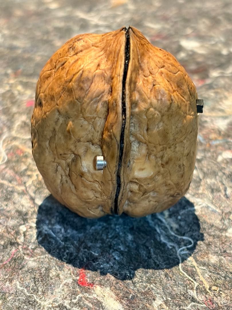 ウォルナット スピーカー