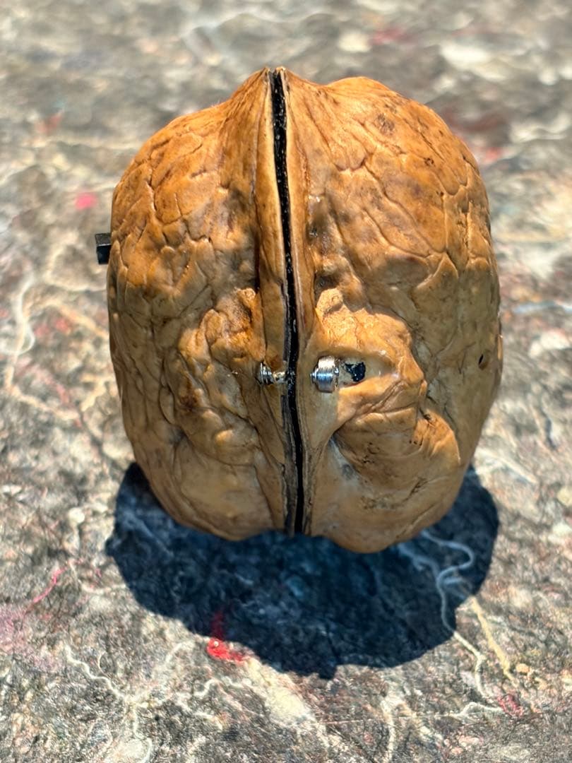 ウォルナット スピーカー