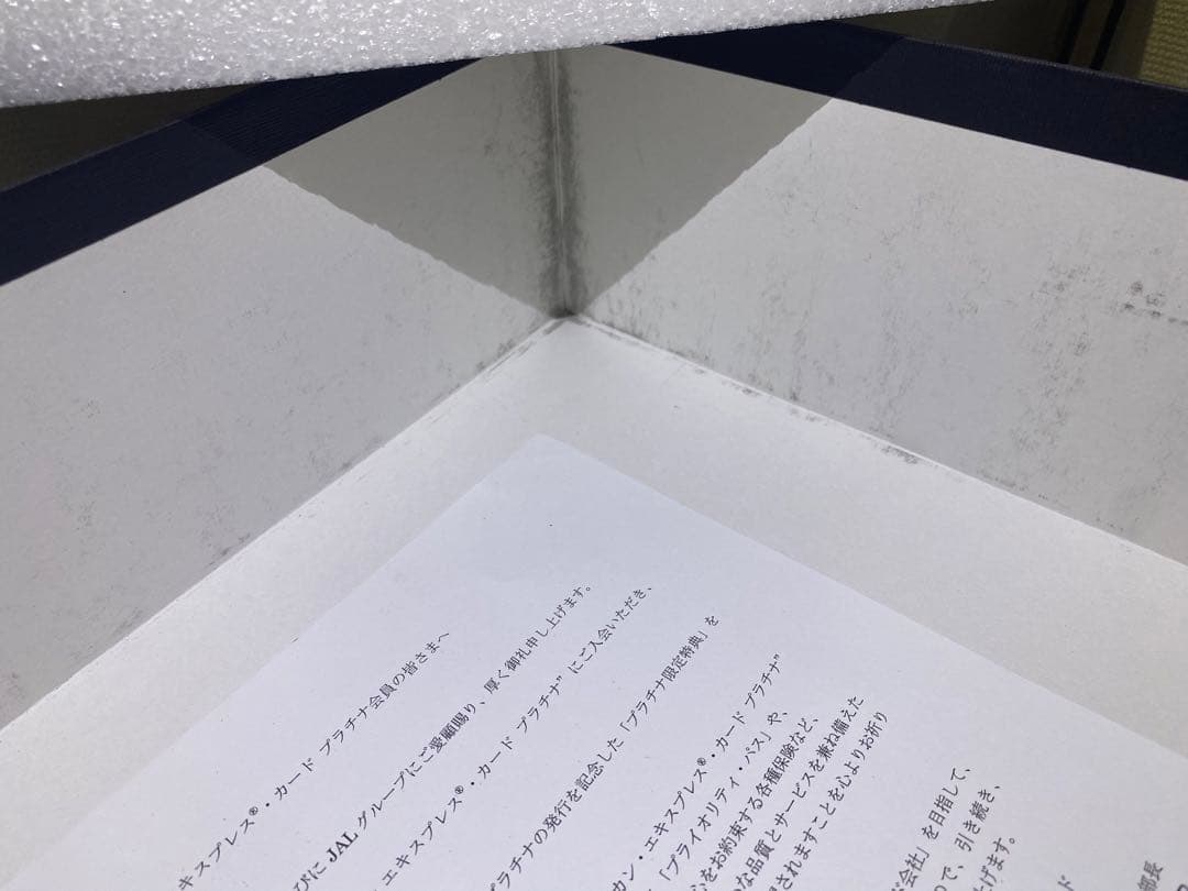 JAL ボーイング　B787 アメリカンエクスプレスプラチナカード発行記念　模型