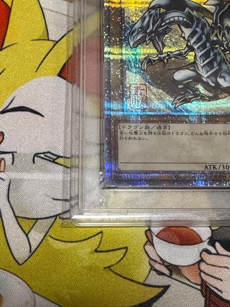 青眼の白龍　25th psa10