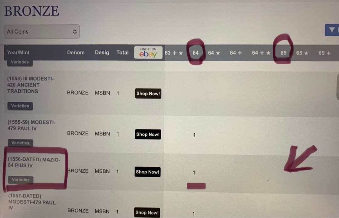 NGC TOP POP教皇ピウス3世 ブロンズメダル