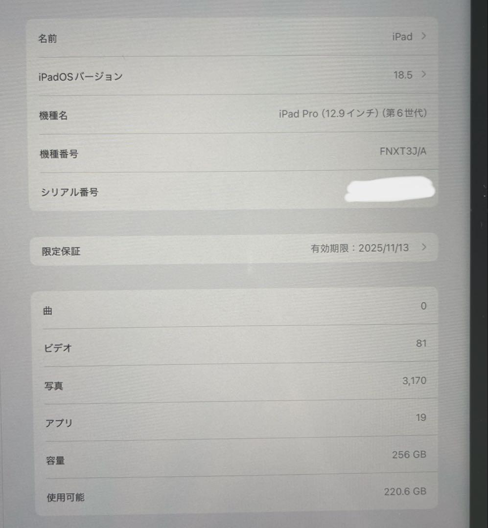 Apple iPad Pro 第6世代　12.9インチ 256G 充電器　箱あり