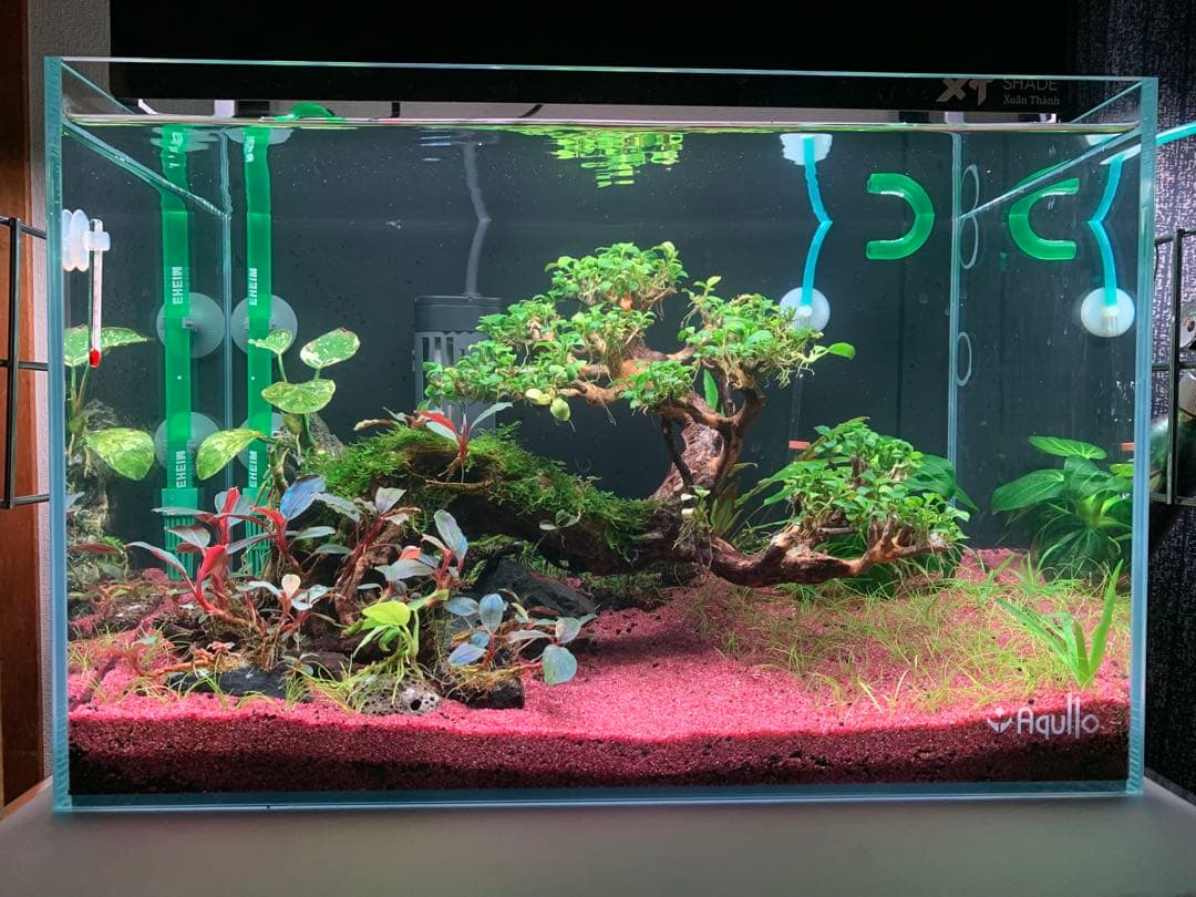 アクアリウム用 流木ボンサイ レイアウト素材