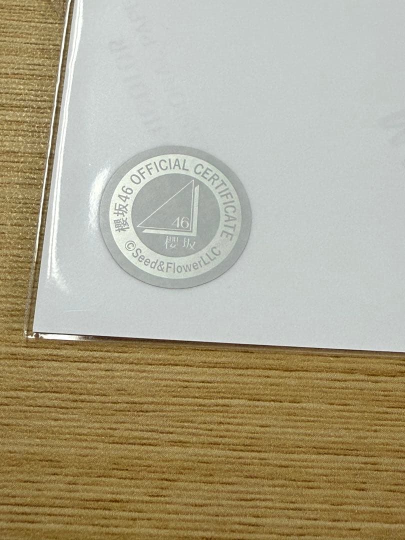 櫻坂46 松本和子　生写真　2025年　サンタ衣装　ヒキ　直筆サイン