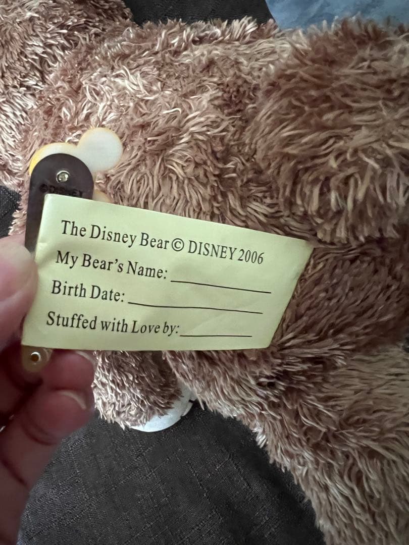 ディズニーワールド　レアダッフィー