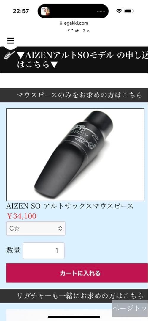 更にお値下げしました！AIZEN ASSO C⭐︎ アルトサックス用　マウスピース