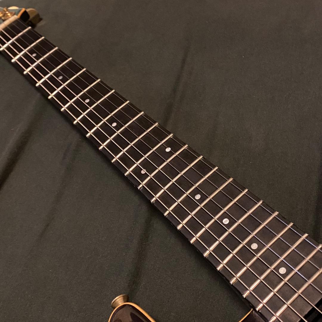 フェルナンデス APG-100 USAカスタム エボニー指板 改造有