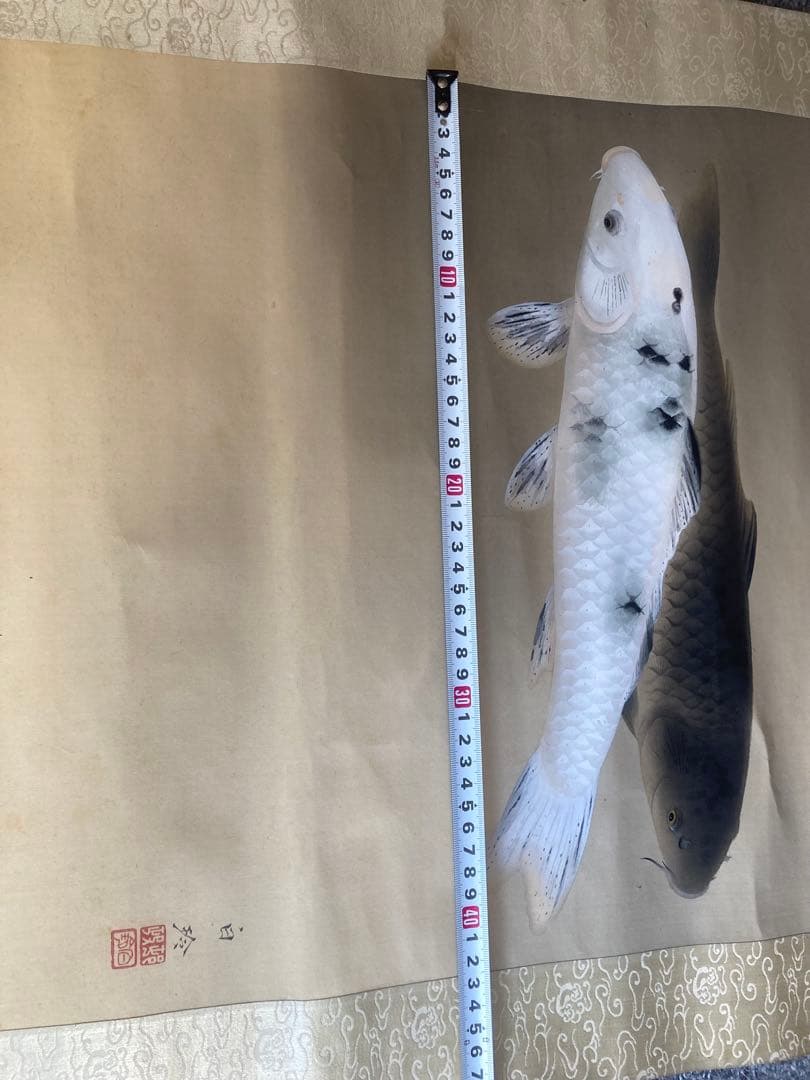 完全ジャンク品 白玲 五月鯉図 掛軸