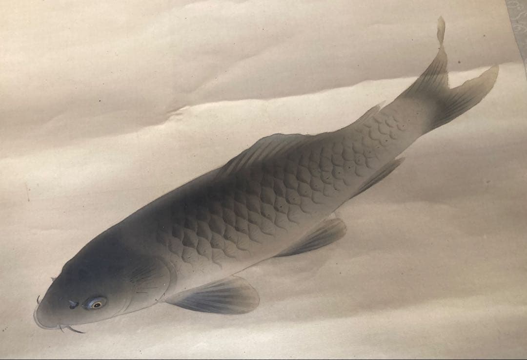 完全ジャンク品 白玲 五月鯉図 掛軸