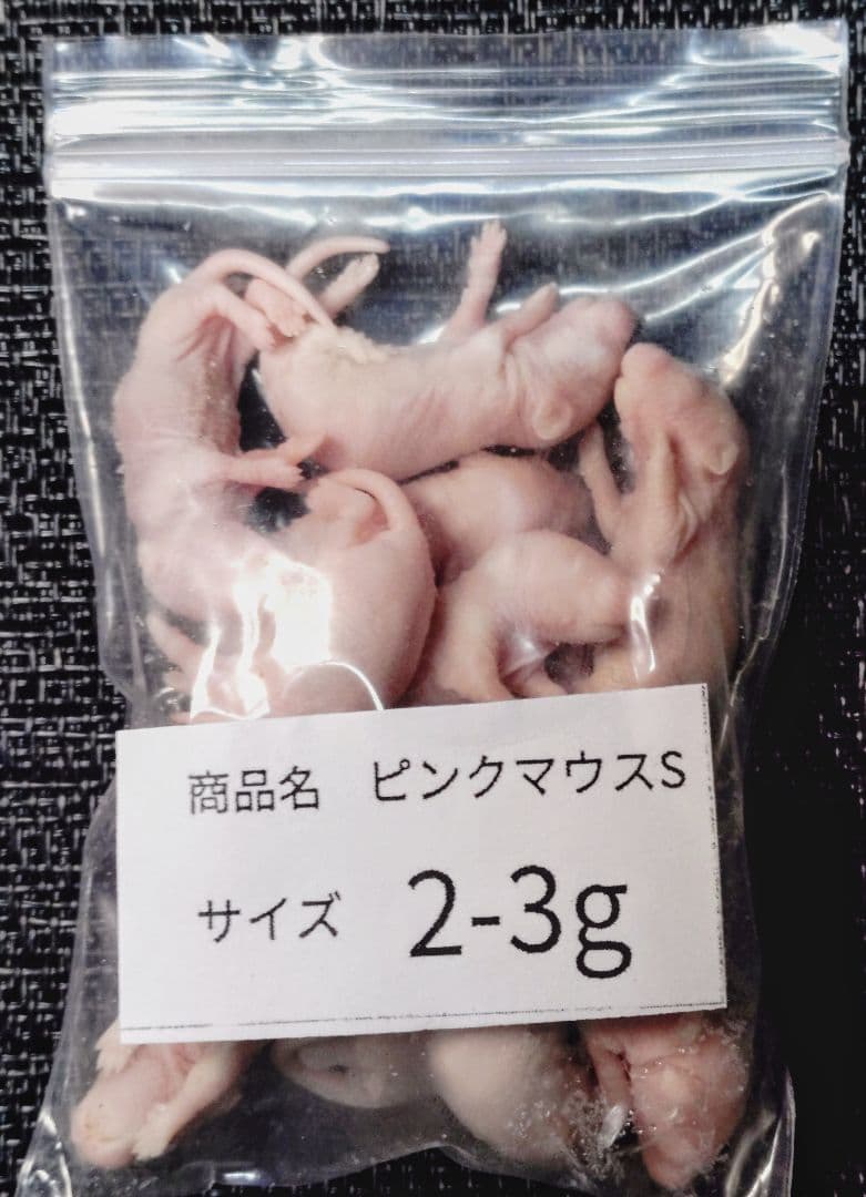 送料無料　冷凍ピンクマウスS100匹