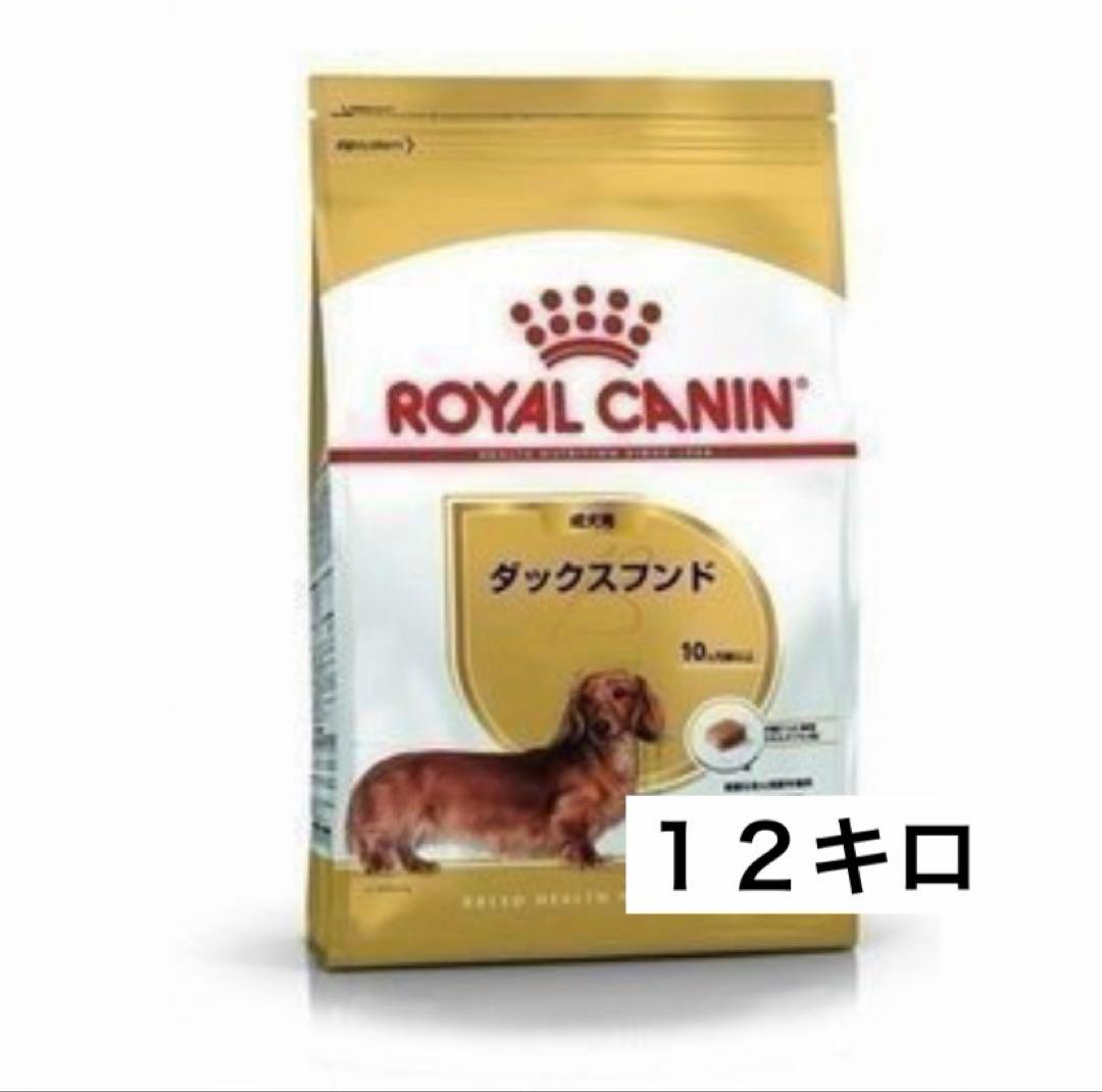 【B品】ロイヤルカナン ダックスフンド成犬用 12キロ