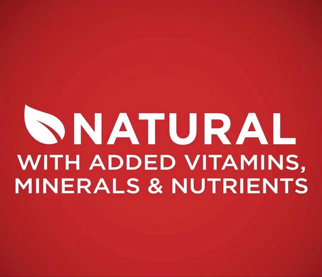 輸入ドッグフードPurina ONE Dry Dog Food ２袋