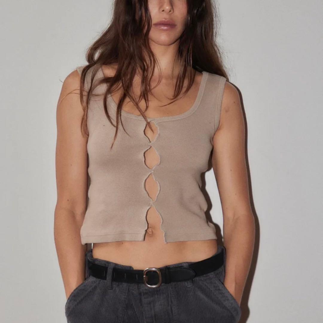 シシクイ　holed north