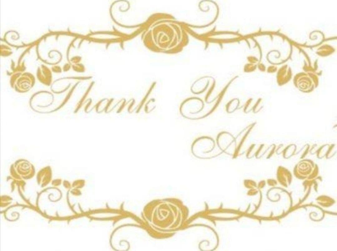 追加+1（専用ページ）