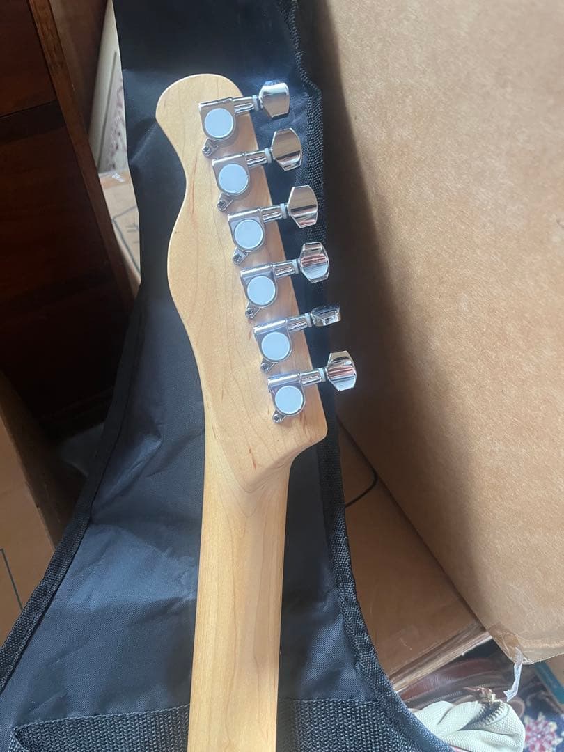 Bacchus BTE-1/R 3TS テレキャスター　ケース付き