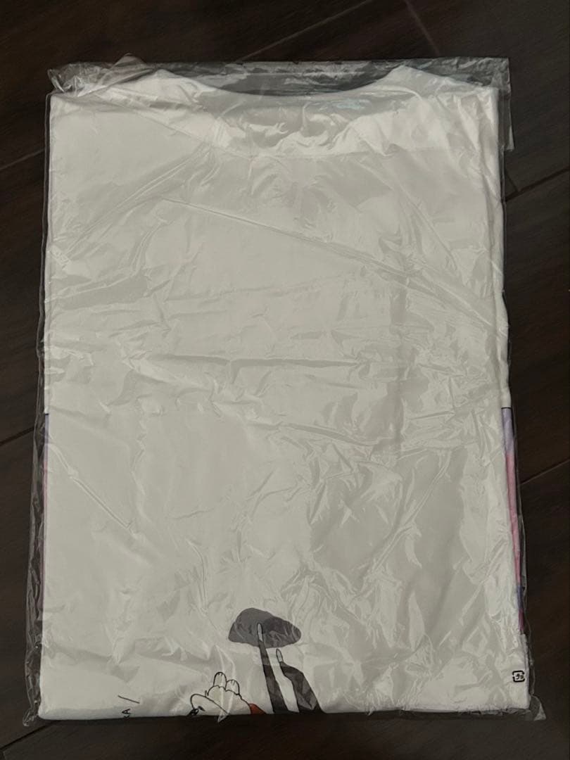 ヨルシカ　いぬ泥棒　ビッグTシャツ suisデザイン