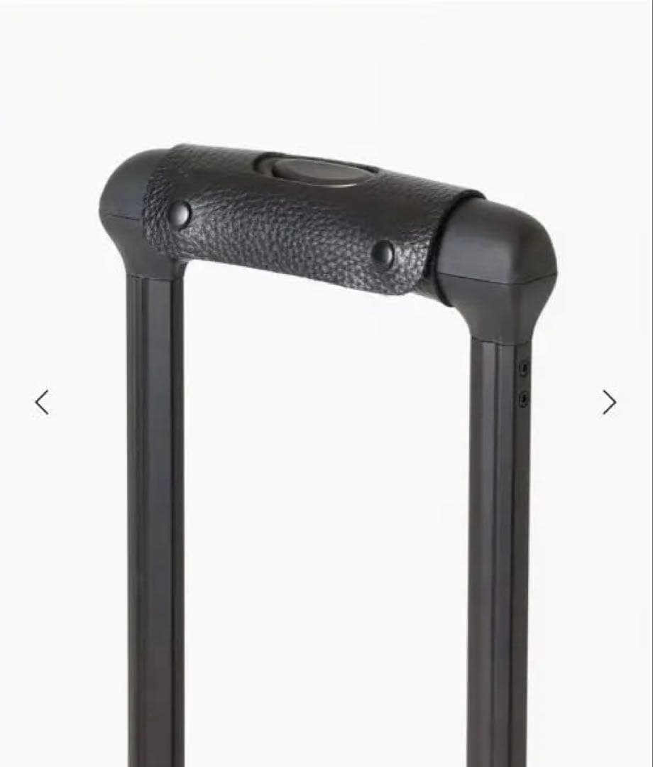 未使用　RICARDO 別注キャリーケース