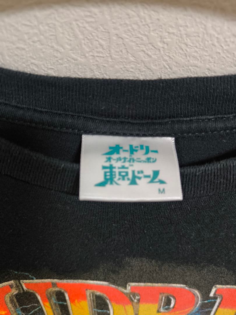 オードリー Tシャツ 6枚セット ANN 武道館 東京ドーム