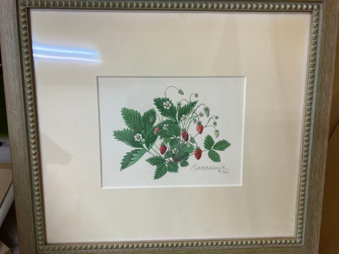 玉村豊男　森のイチゴ